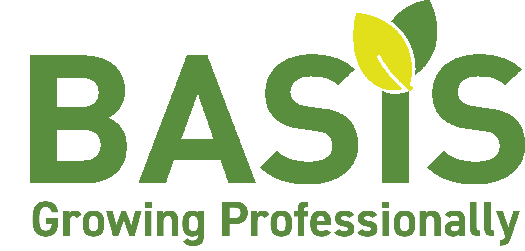 NEW BASIS Logo  with Strap Line
